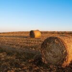 Delving into Lent Data « OpenBible.info Blog