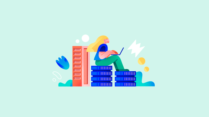 ECommerce hosting solutions