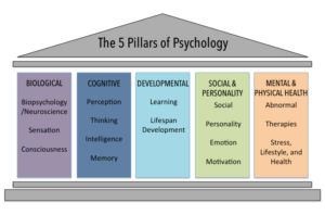 Domains in Psychology | Introduction to Psychology
