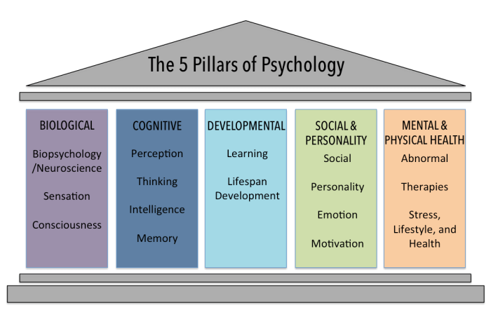 Domains in Psychology | Introduction to Psychology